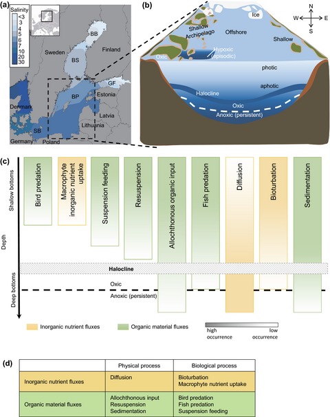 The importance of benthic–pelagic coupling for marine ecosystem functioning in a changing world