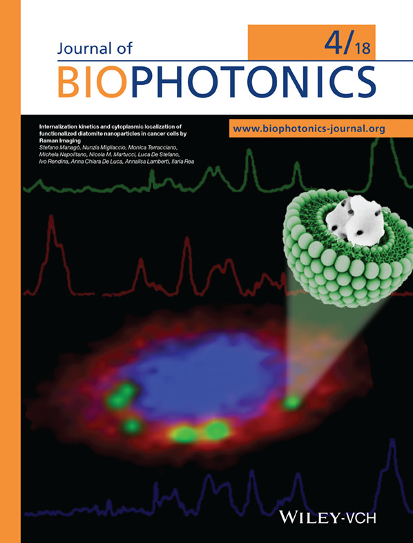 Inside Cover: Internalization kinetics and cytoplasmic localization of functionalized diatomite nanoparticles in cancer cells by Raman imaging (J. Biophotonics 4/2018)