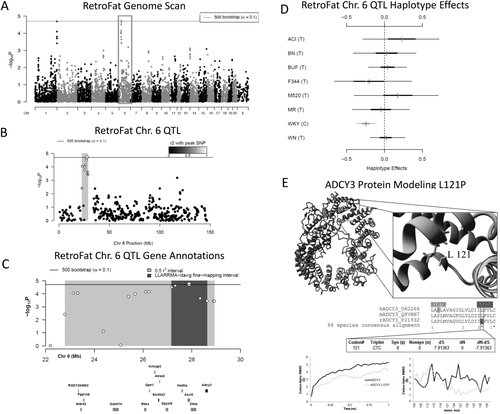 Details are in the caption following the image Details are in the caption following the image