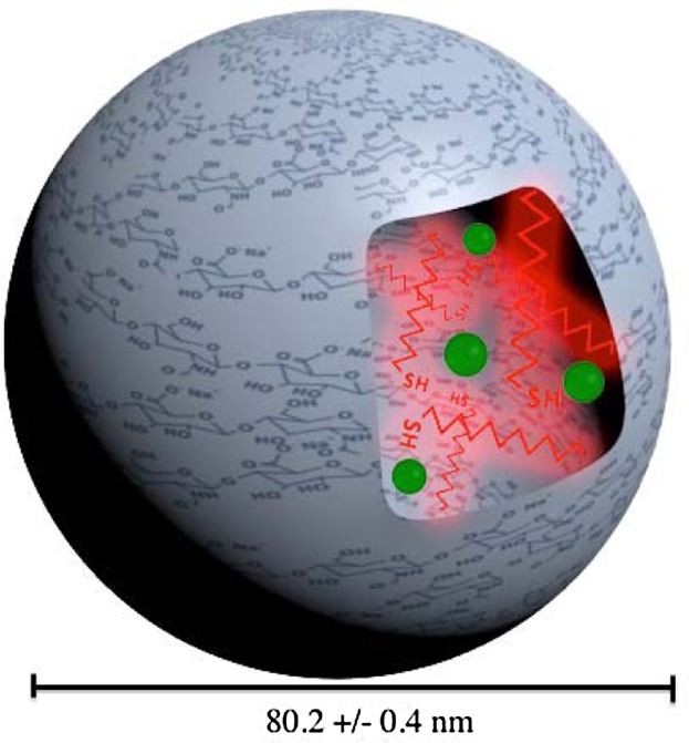 A Novel Crosslinked Hyaluronic Acid Nanogel for Drug Delivery