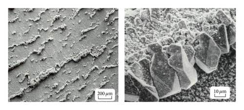 Details are in the caption following the image