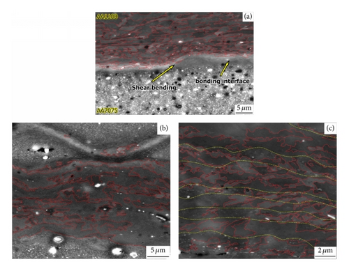 Details are in the caption following the image Details are in the caption following the image