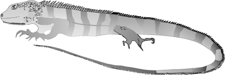 inline image