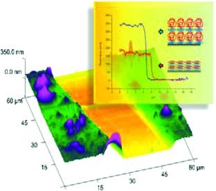 Responsive Polyelectrolyte Multilayers Assembled at High Ionic Strength with an Unusual Collapse at Low Ionic Strength