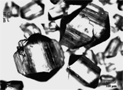 Adjustment of Process Conditions in Seeded Batch Cooling Crystallization