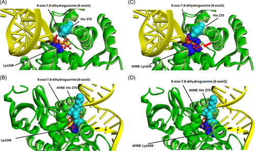 Details are in the caption following the image Details are in the caption following the image