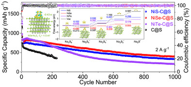 Optimizing Adsorption-Catalysis Synergy to Accelerate Sulfur Conversion Kinetics in Room-Temperature Na-S Batteries