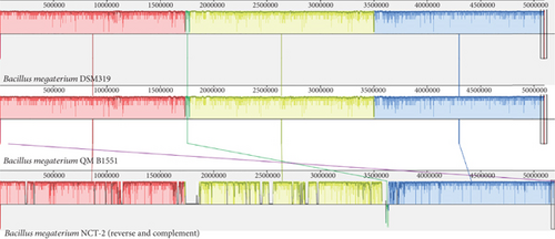 Details are in the caption following the image Details are in the caption following the image