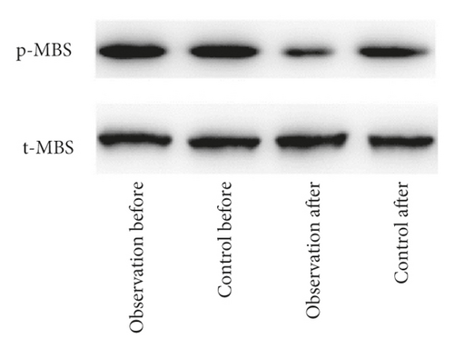 Details are in the caption following the image