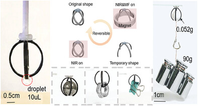 A Versatile Dual-Responsive Shape-Memory Gripper via Additive Manufacturing Toward High-Performance Cross-Scale Objects Maneuvering