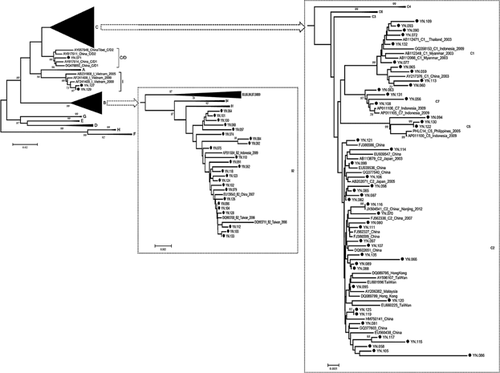 Details are in the caption following the image Details are in the caption following the image
