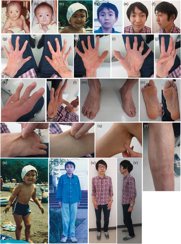 Details are in the caption following the image Details are in the caption following the image