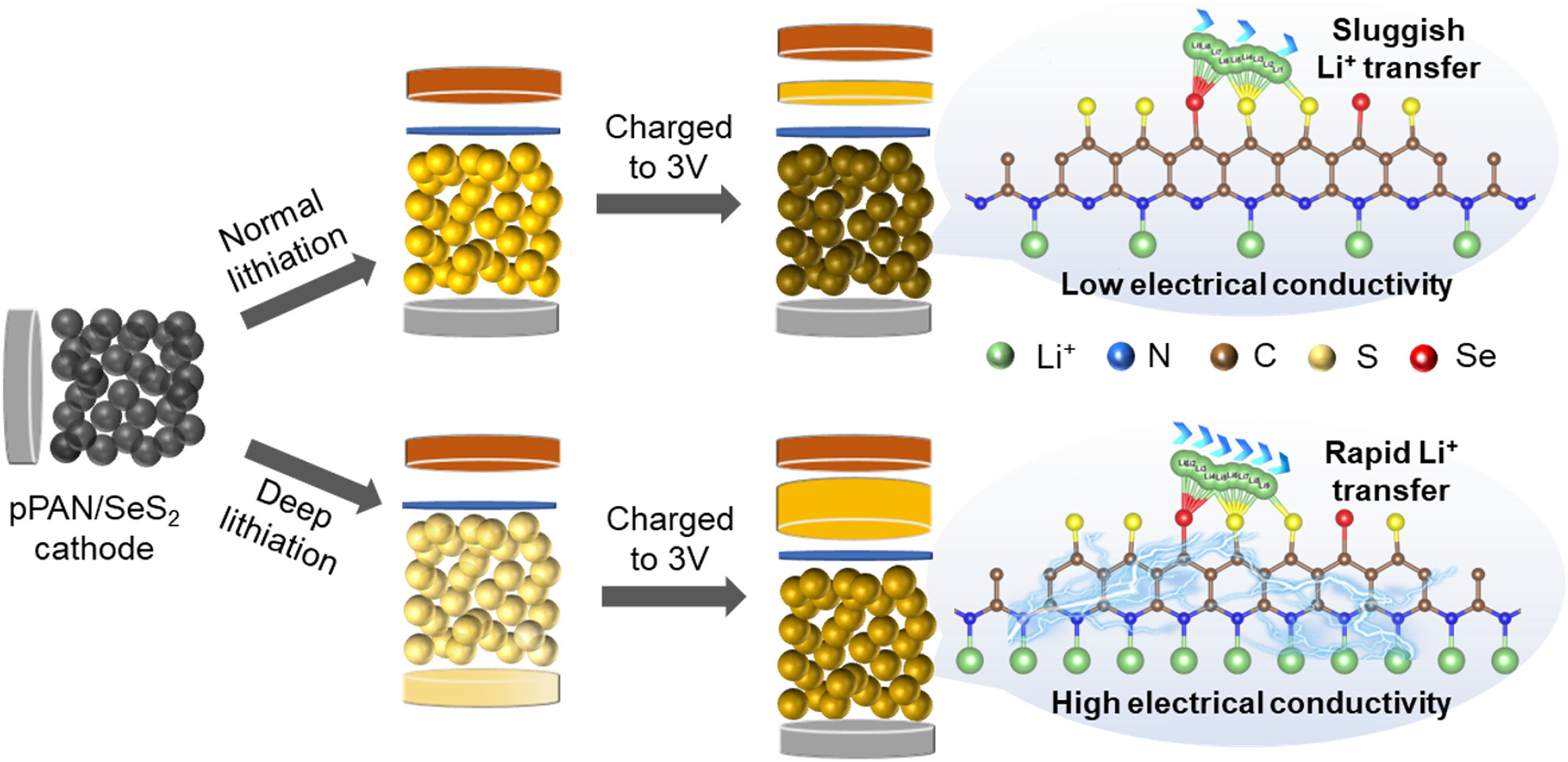 Li-Rich Organosulfur Cathode with Boosted Kinetics for High-Energy Lithium-Sulfur Batteries