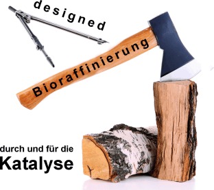 Aufschluss pflanzlicher Biomasse trifft auf Katalyse