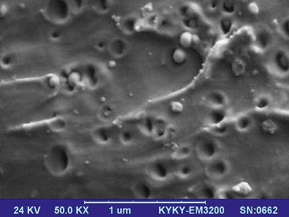 Effect of Silica Nanoparticles on the Performance of Polysulfone Membranes for Olefin-Paraffin Separation