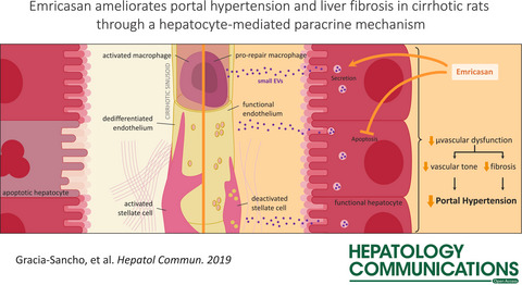 Emricasan Ameliorates Portal Hypertension and Liver Fibrosis in Cirrhotic Rats Through a Hepatocyte-Mediated Paracrine Mechanism