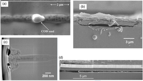 Details are in the caption following the image
