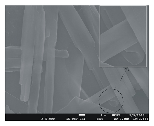 Details are in the caption following the image