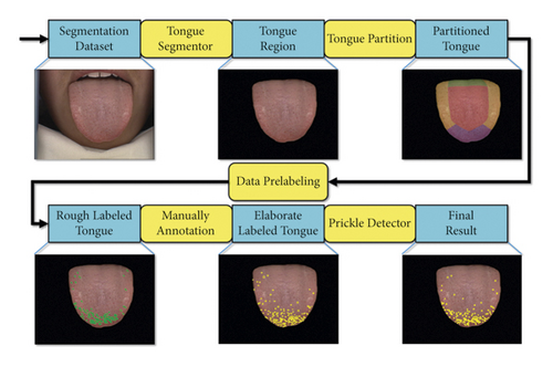 Details are in the caption following the image Details are in the caption following the image