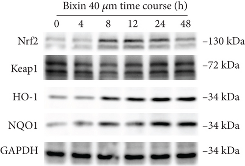 Details are in the caption following the image