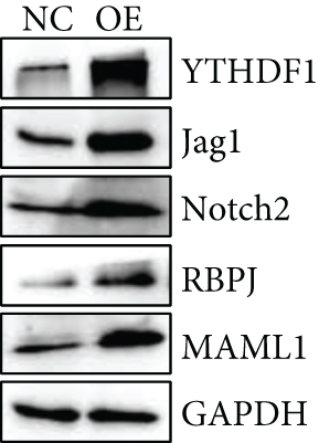 Details are in the caption following the image