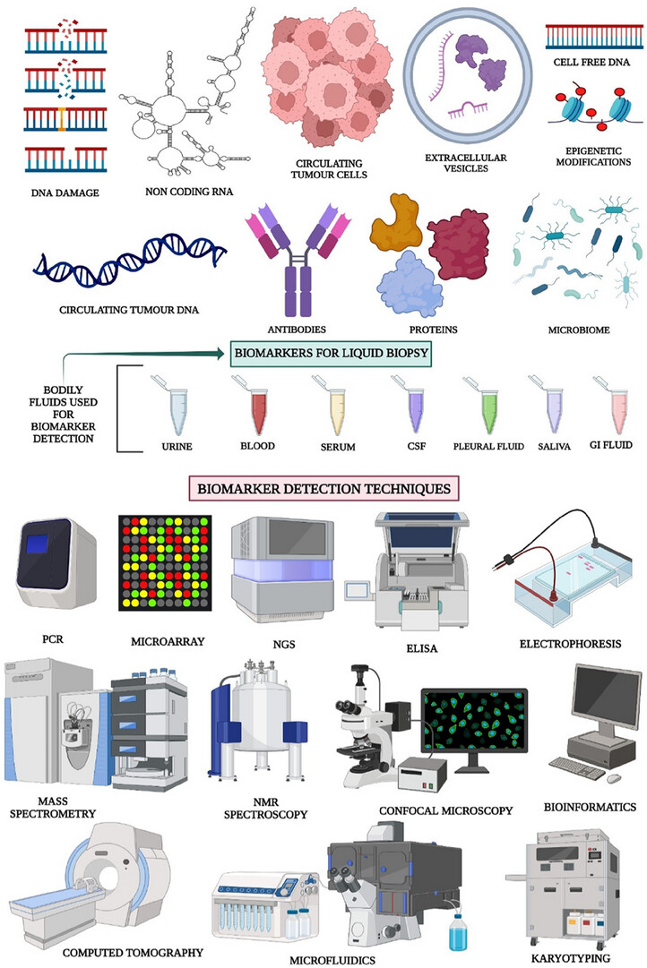 Liquid biopsy—A biomarker-based revolutionising technique in cancer therapy
