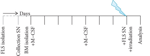 Details are in the caption following the image
