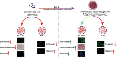 Polymeric Nanoformulation of Zoledronic Acid Rescues Osteoblasts from the Harmful Effect of its Native Form: An In Vitro Investigation of Cytotoxic Potential on Osteoblasts and Osteosarcoma Cells