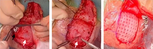 Details are in the caption following the image Details are in the caption following the image