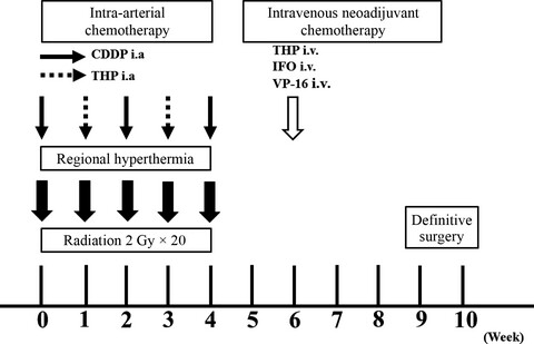 Clinical outcomes of radio-hyperthermo-chemotherapy for soft tissue sarcoma compared to a soft tissue sarcoma registry in Japan: a retrospective matched-pair cohort study