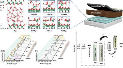 Oxide Derivatives of Nb2CTx MXene and Their Application as Electron Transport Layers in Perovskite Solar Cells: Unraveling the Oxidation Process and Functionalization
