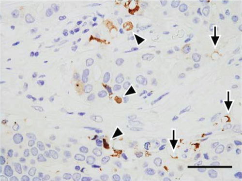 Details are in the caption following the image