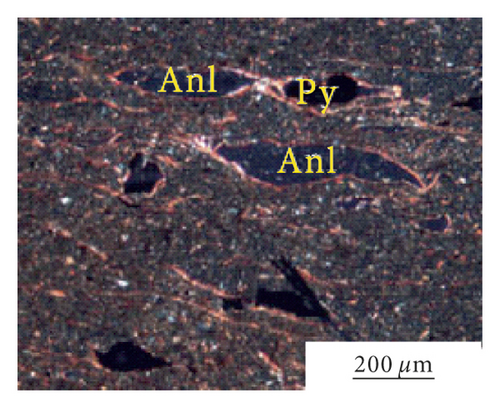 Details are in the caption following the image
