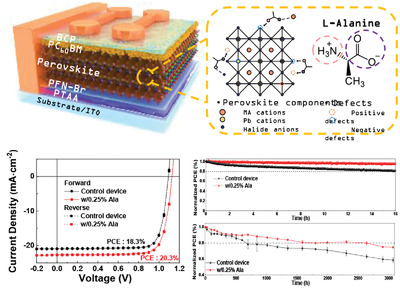 Simultaneously Passivating Cation and Anion Defects in Metal Halide Perovskite Solar Cells Using a Zwitterionic Amino Acid Additive