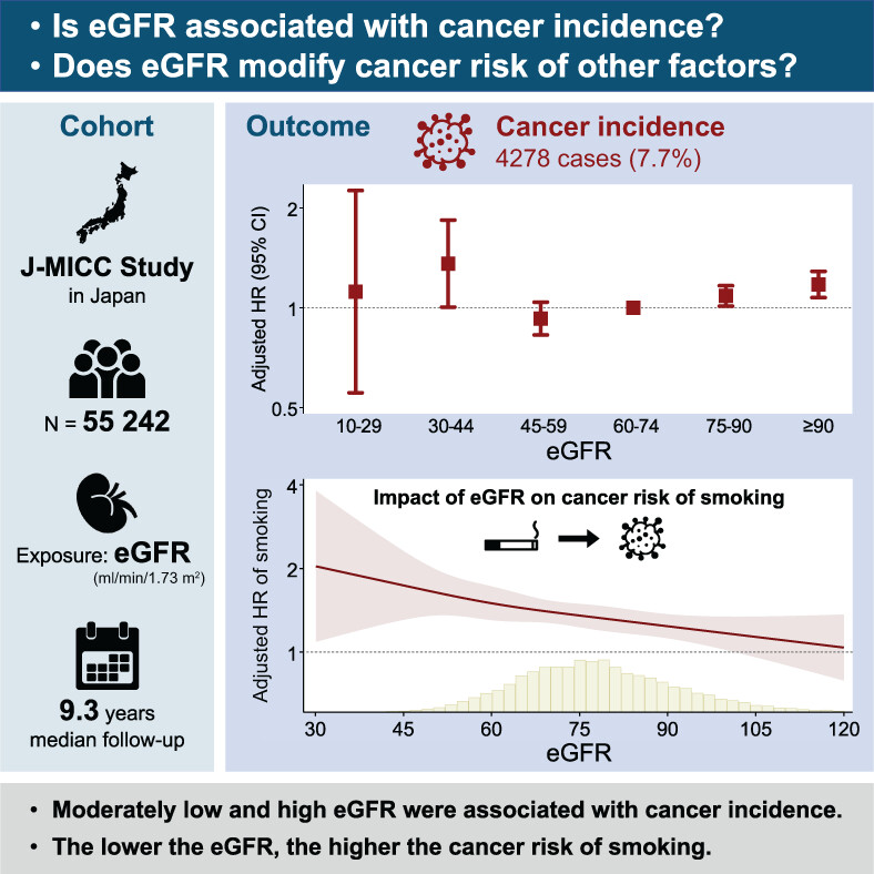 Association of kidney function with cancer incidence and its influence on cancer risk of smoking: The Japan Multi-Institutional Collaborative Cohort Study