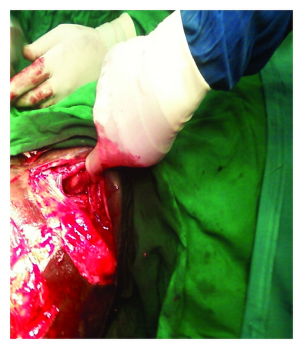 Details are in the caption following the image Details are in the caption following the image