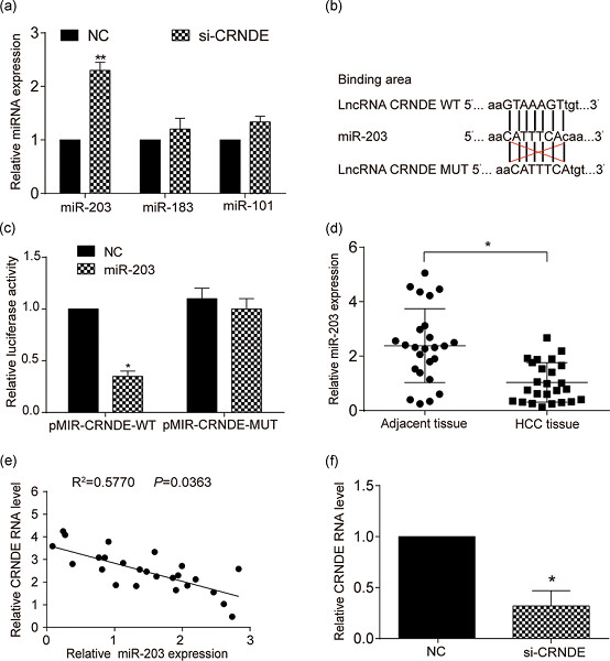 Retracted: LncRNA CRNDE promotes hepatocellular carcinoma cell proliferation, invasion, and migration through regulating miR-203/
BCAT1 axis