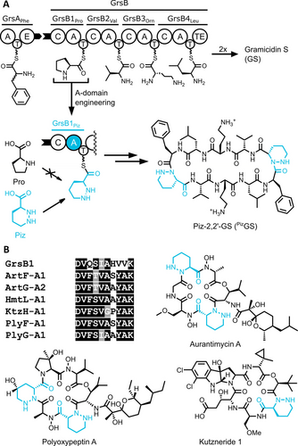 Details are in the caption following the image