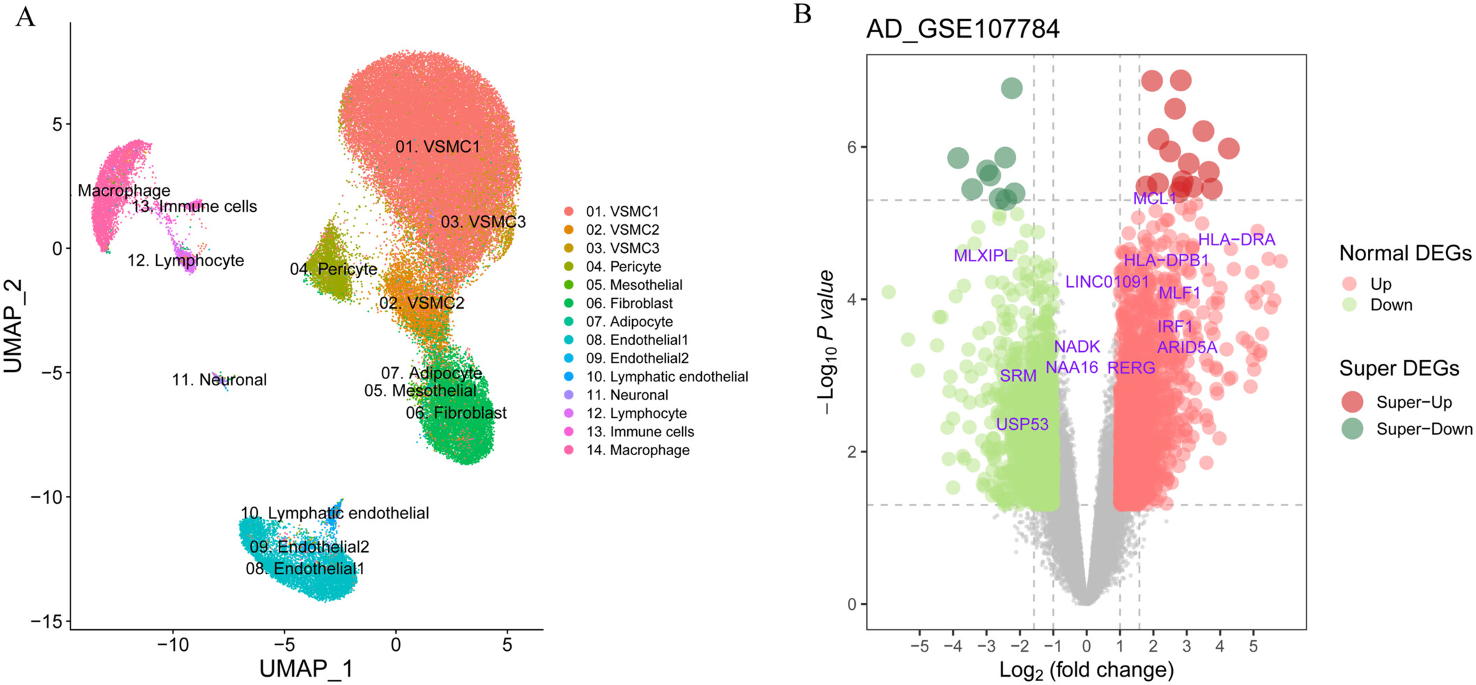 Unveiling blood pressure-associated genes in aortic cells through integrative analysis of GWAS and RNA modification-associated variants