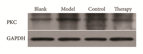 Details are in the caption following the image