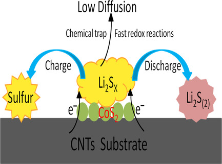 In Situ Synthesis of Sulfur Host with Chemisorption and Electrocatalytic Capability toward High-Performance Lithium–Sulfur Batteries