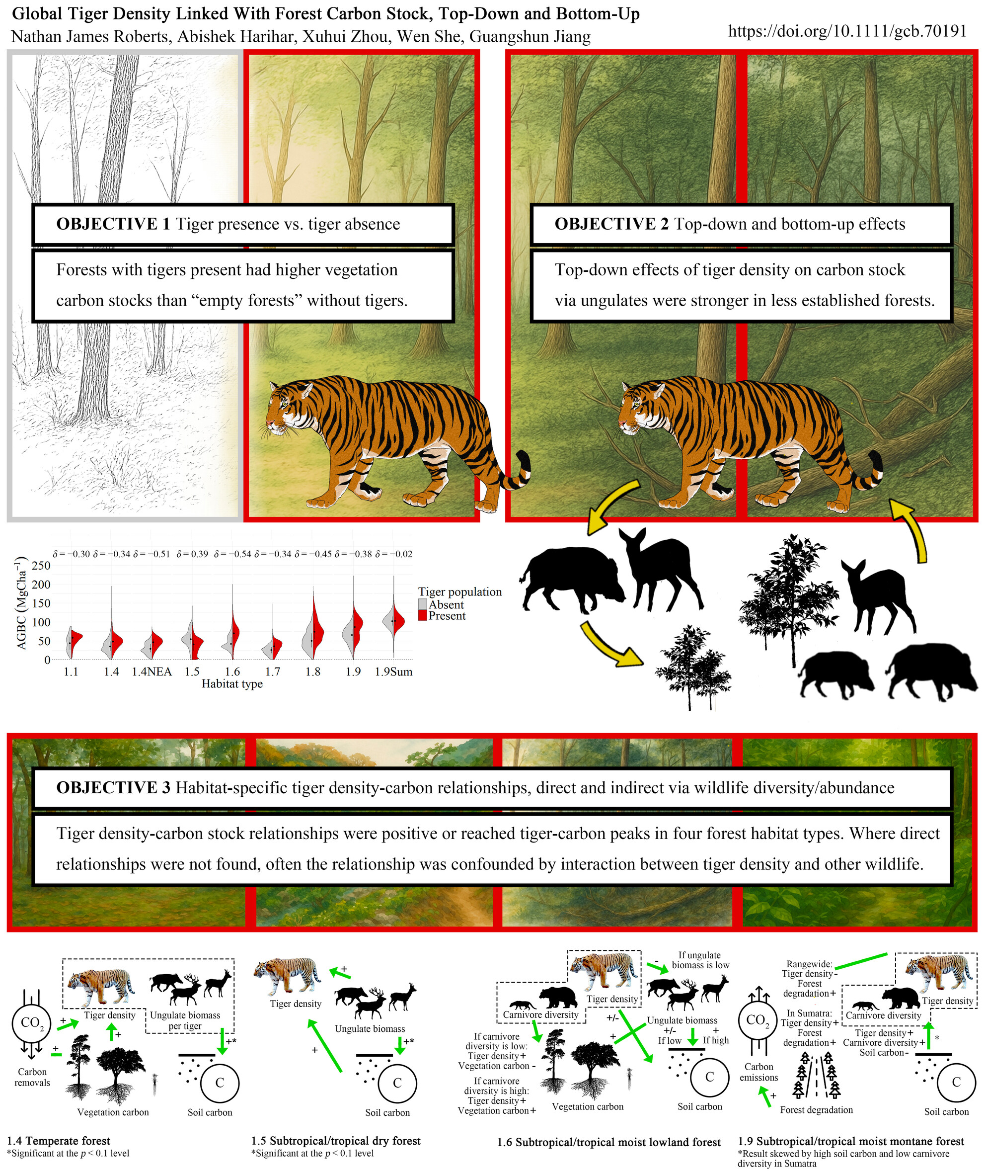 Global Tiger Density Linked With Forest Carbon Stock, Top-Down and Bottom-Up