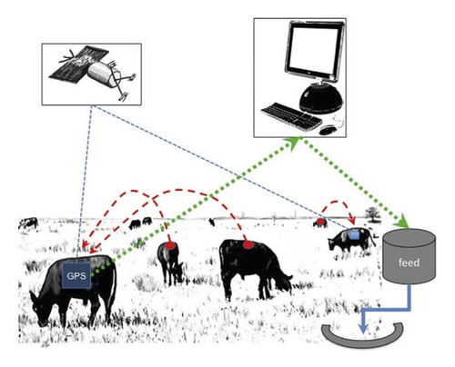 Details are in the caption following the image Details are in the caption following the image