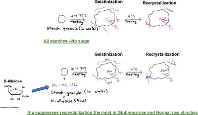 The Effects of D-Allulose on the Gelatinization and Recrystallization Properties of Starches from Different Botanical Sources