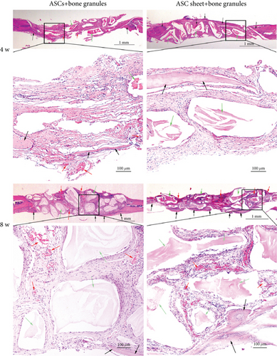 Details are in the caption following the image Details are in the caption following the image