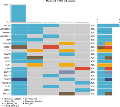 Genomic variation associated with carcinoma showing thymus-like elements (CASTLE) in thyroid gland