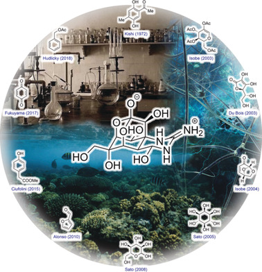Tetrodotoxin: History, Biology, and Synthesis