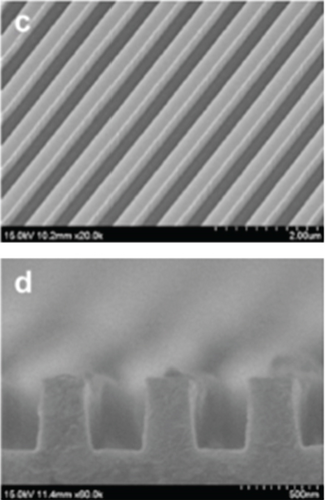 Details are in the caption following the image