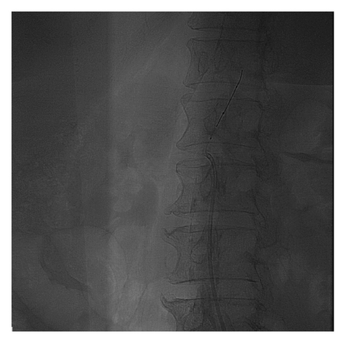 Description unavailable Description unavailable