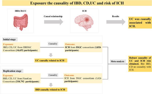 Inflammatory bowel disease and the risk of intracerebral hemorrhage: A Mendelian randomization study and meta-analysis